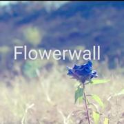 Flowerwall