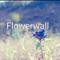 Flowerwall专辑