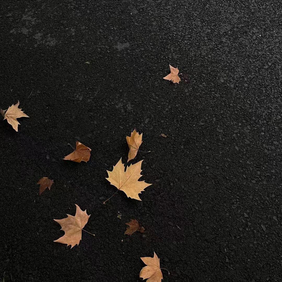 Fall