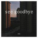 see goodbye