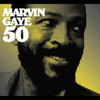 Marvin Gaye - Doing My Thing (Instrumental) 原版无和声伴奏