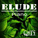 Elude （piano）专辑