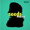 Seeds: Mozart专辑