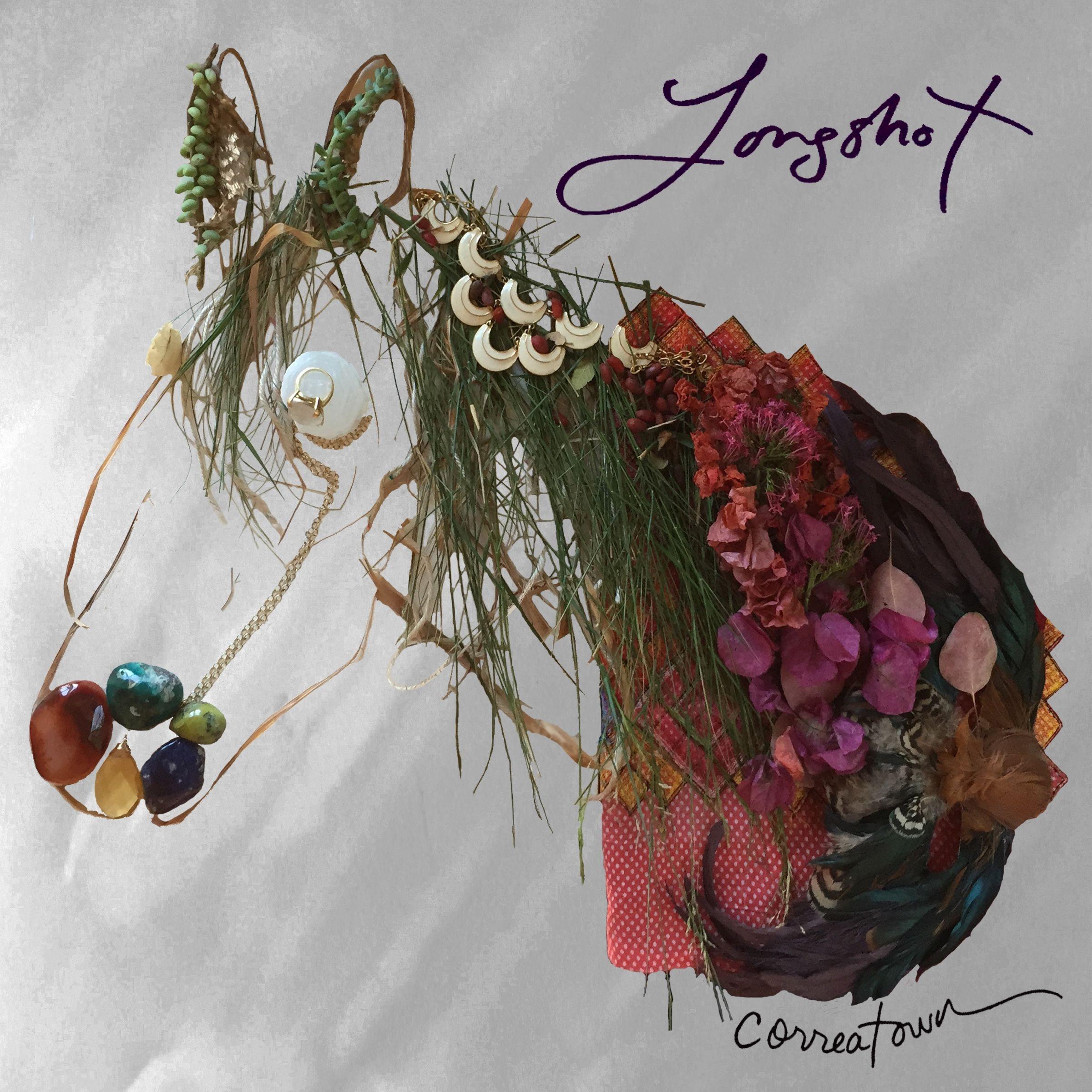 Longshot