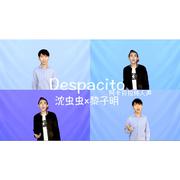 Despacito 缓缓 纯人声阿卡贝拉