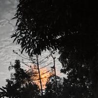 September x Electric Love (WILLØ '2025' Mashup)