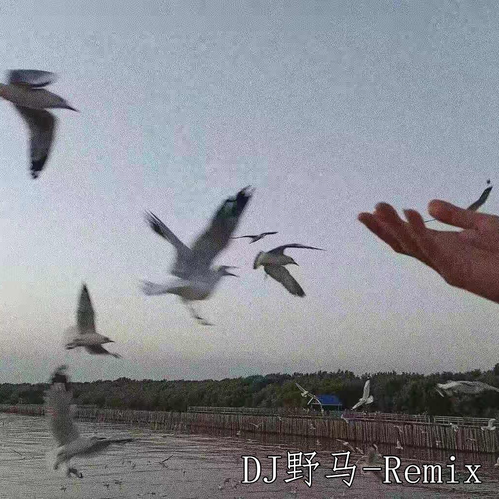 好心被践踏