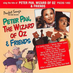 Wizard Of Oz (Judy Garland) - We're Off To See The Wizard (VS karaoke) 带和声伴奏 （升7半音）