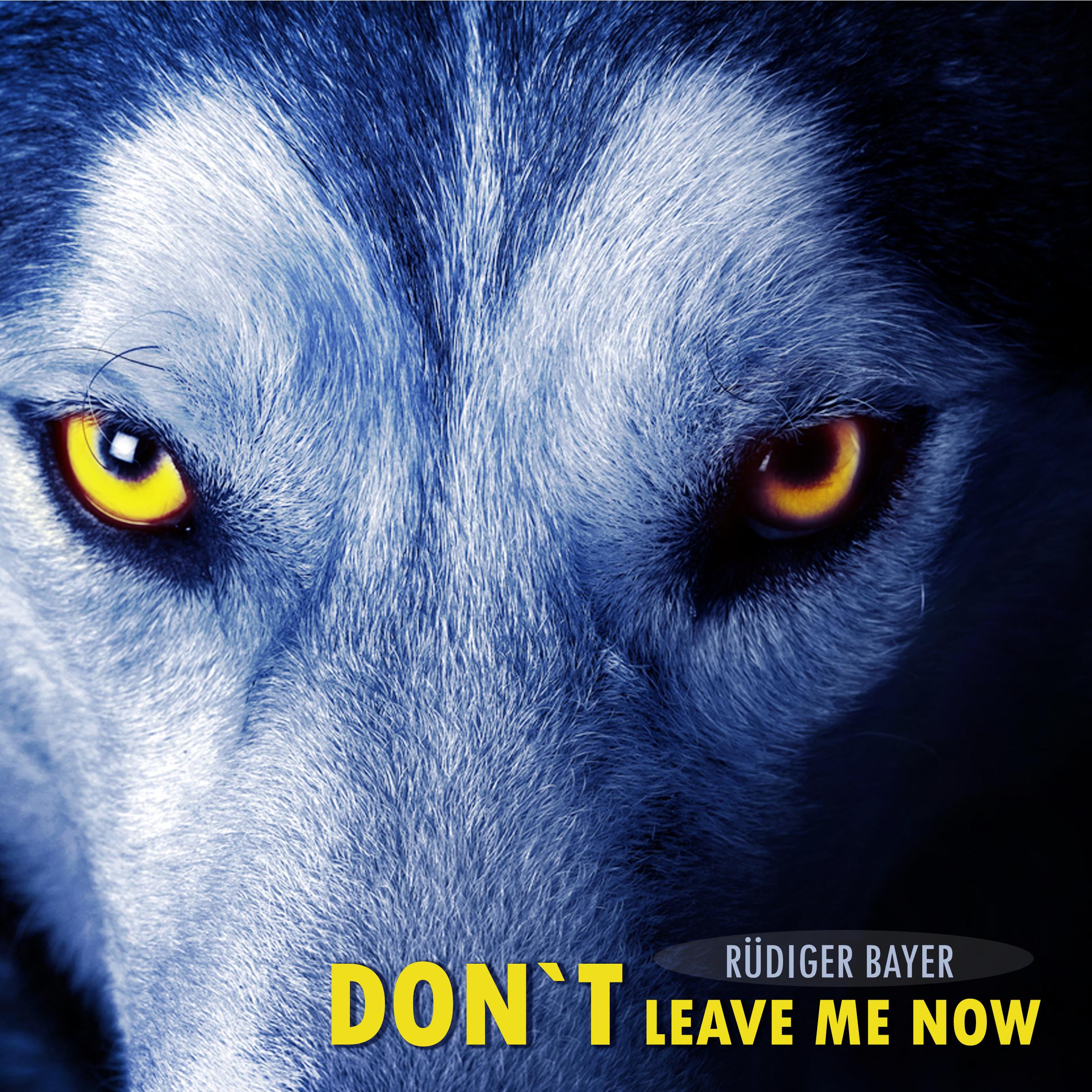 Don't Leave Me Now