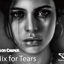 Mix for Tears【混音带】专辑
