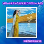 今生只为与你邂逅 (DJ宇轩Remix慢四版)