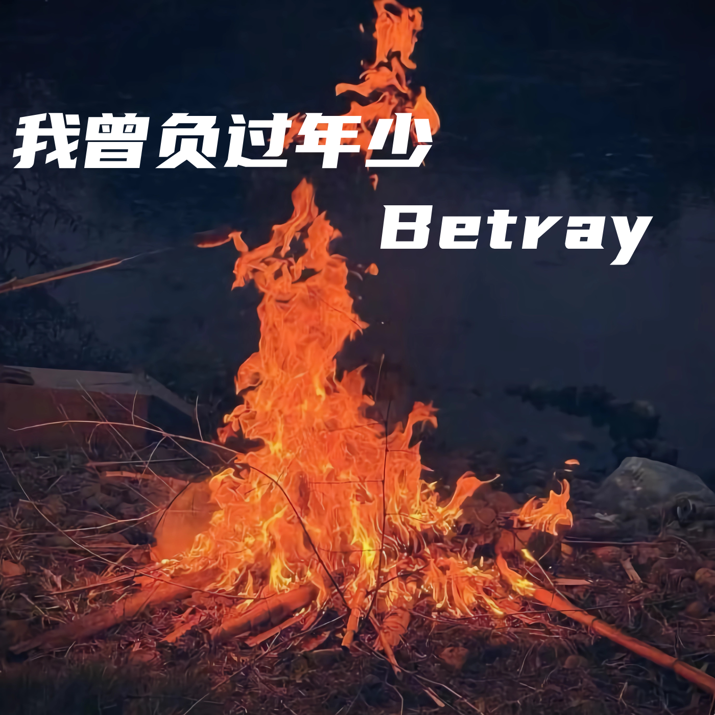 我曾负过年少