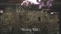 Wailing Wall 2004-2010专辑