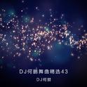 DJ何鹏舞曲精选集43专辑