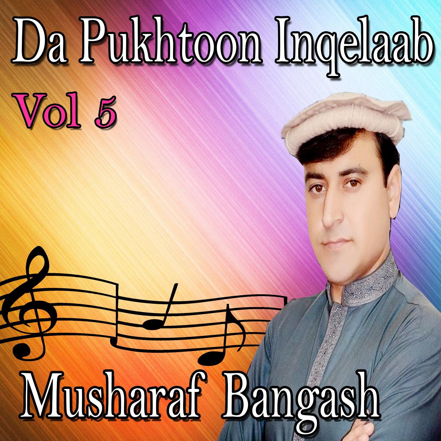 Da Pukhtoon Inqelaab, Vol. 5专辑