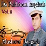 Da Pukhtoon Inqelaab, Vol. 5专辑