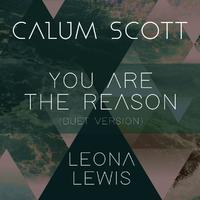 Calum Scott Leona Lewis-You Are The Reason 伴奏 无人声 伴奏 更新AI版