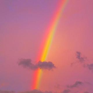 有时，爱也是种伤害。