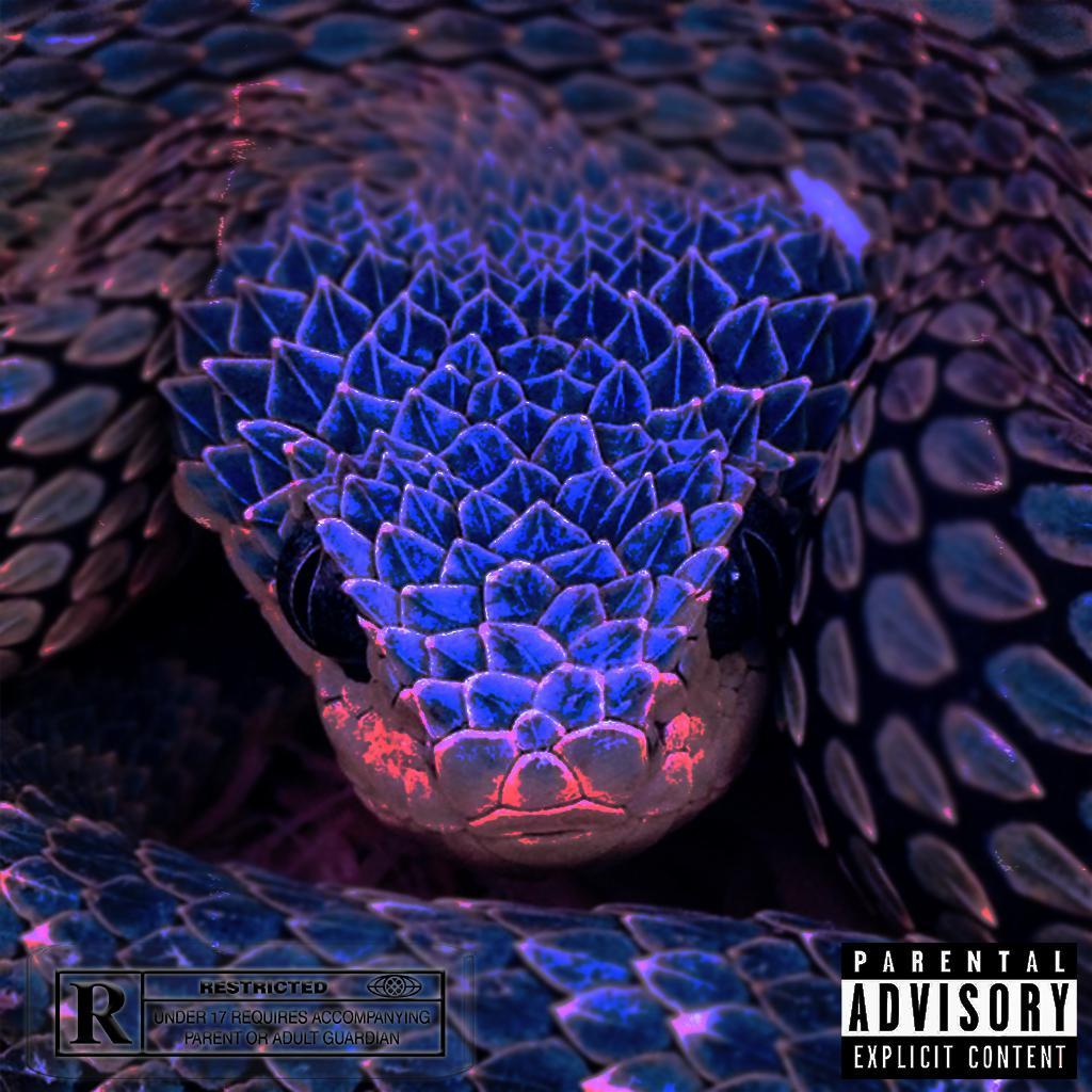 ‘Snake’ Dababy Type beat