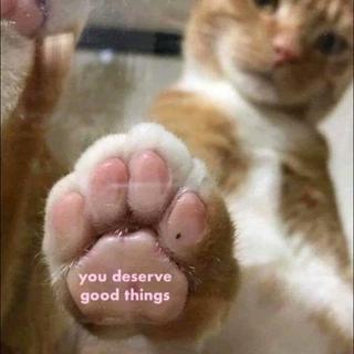 相逢如骤雨初晴