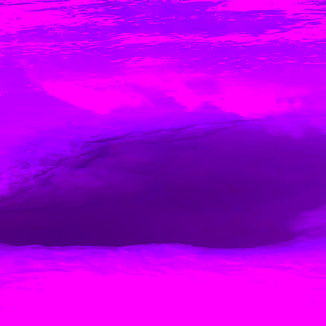 雾里FOG