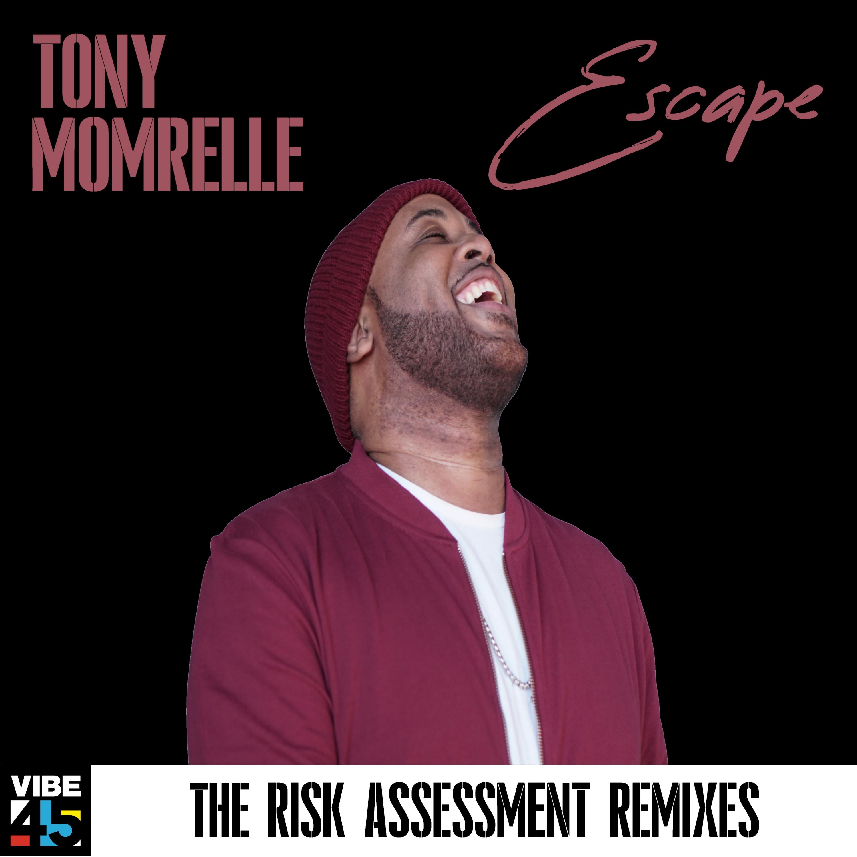 Escape (The Risk Assessment Remixes)