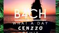 What A Day (Cenzzo Remix)专辑