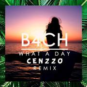 What A Day (Cenzzo Remix)