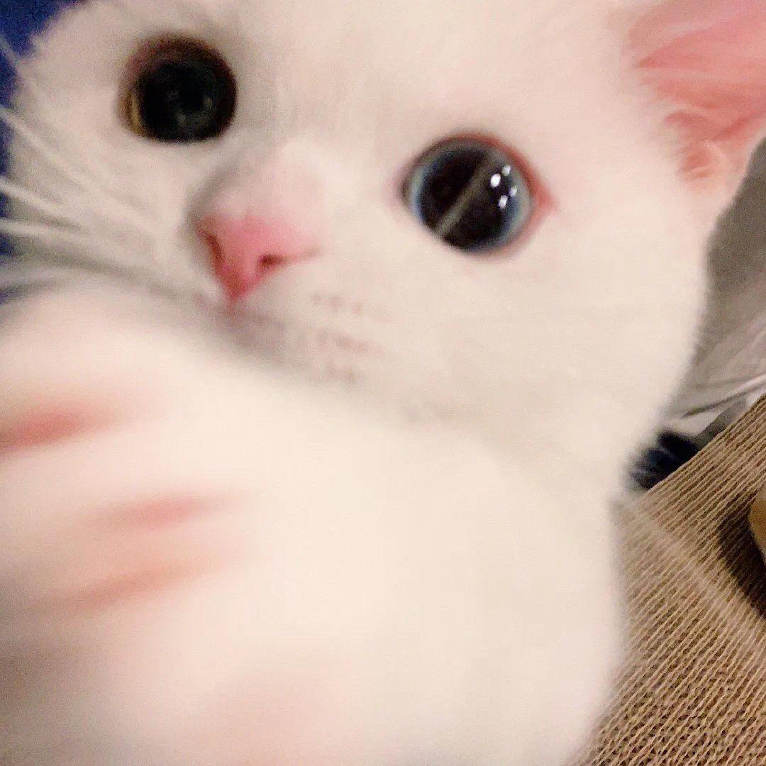 张一歌曲封面