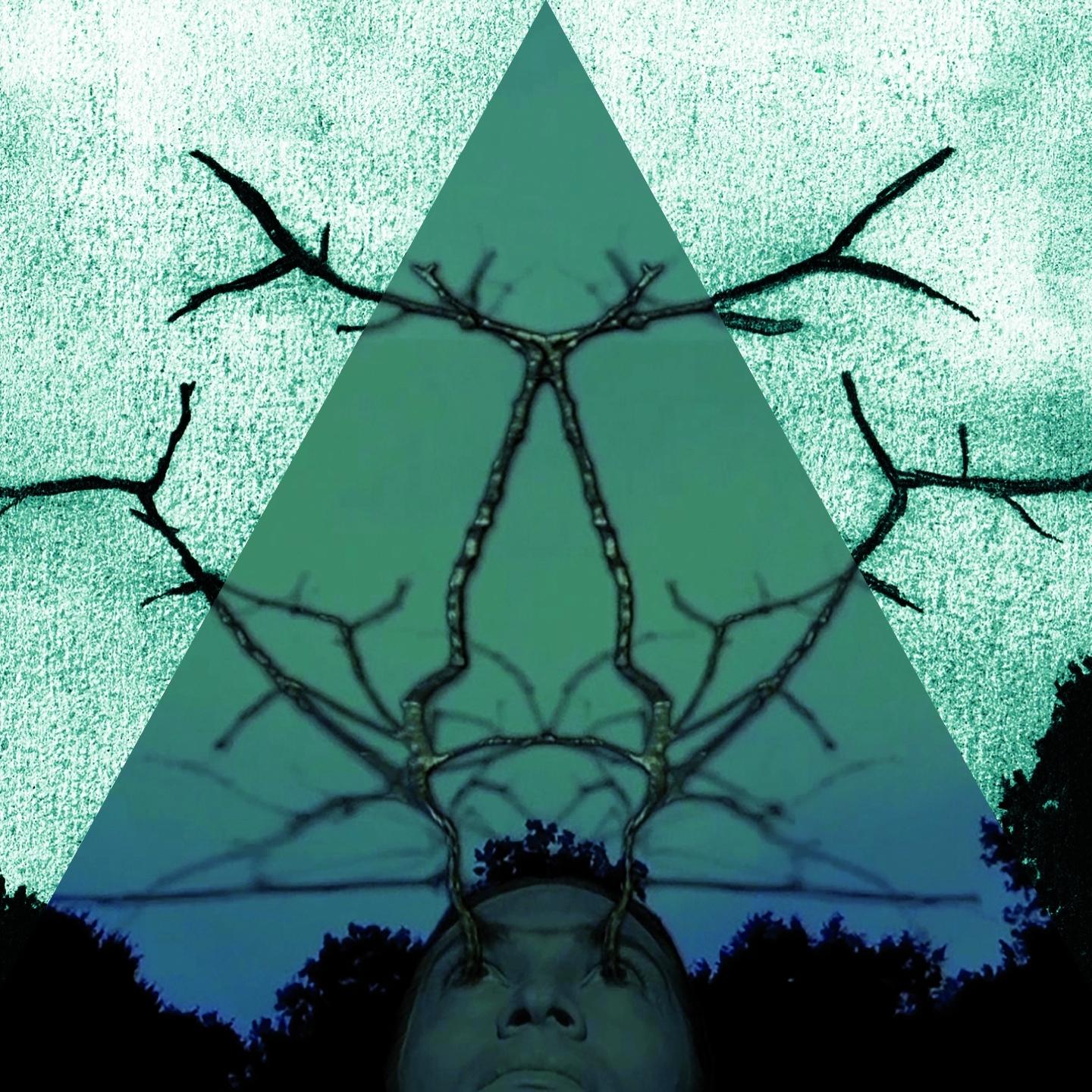 Acids, Vol. 1