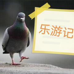 乐游记