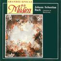 Grandes Epocas de la Música, Johann Sebastian Bach, Concierto de Brandeburgo Nº 4, Nº 5 y Nº 6专辑