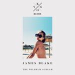 The Wilhelm Scream (Kygo Remix)专辑