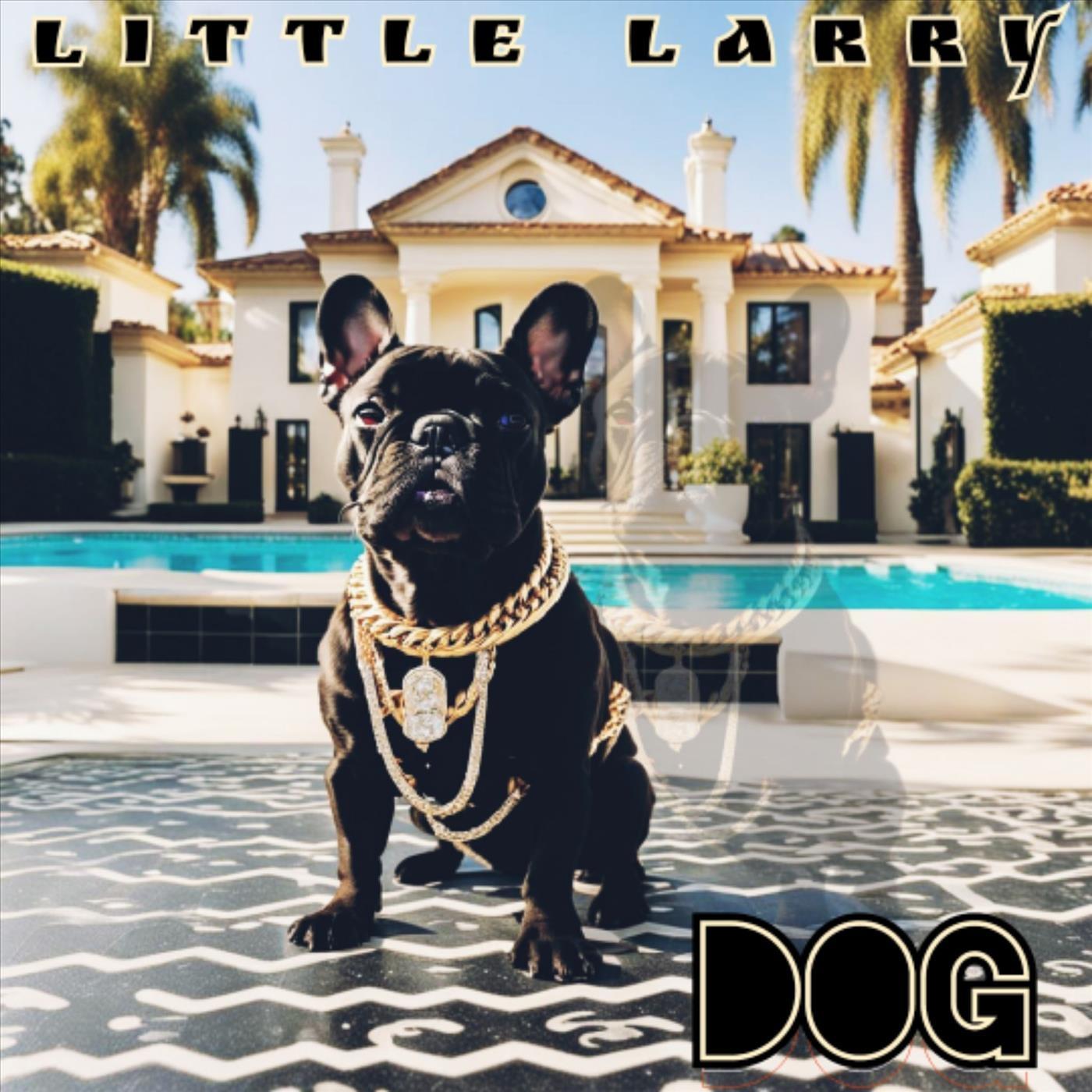 Little Larry - dog