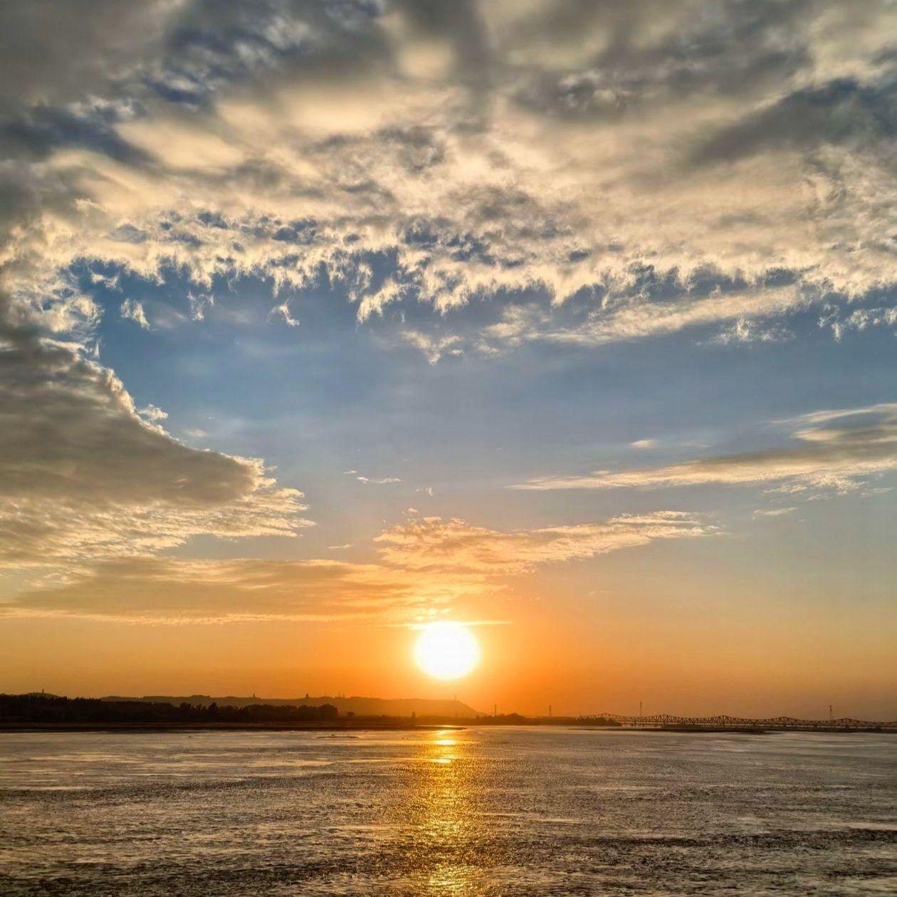 高石宇-狗尾巴草（把爱藏入湫 remix）