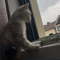 R7 - 我们的爱( remix)