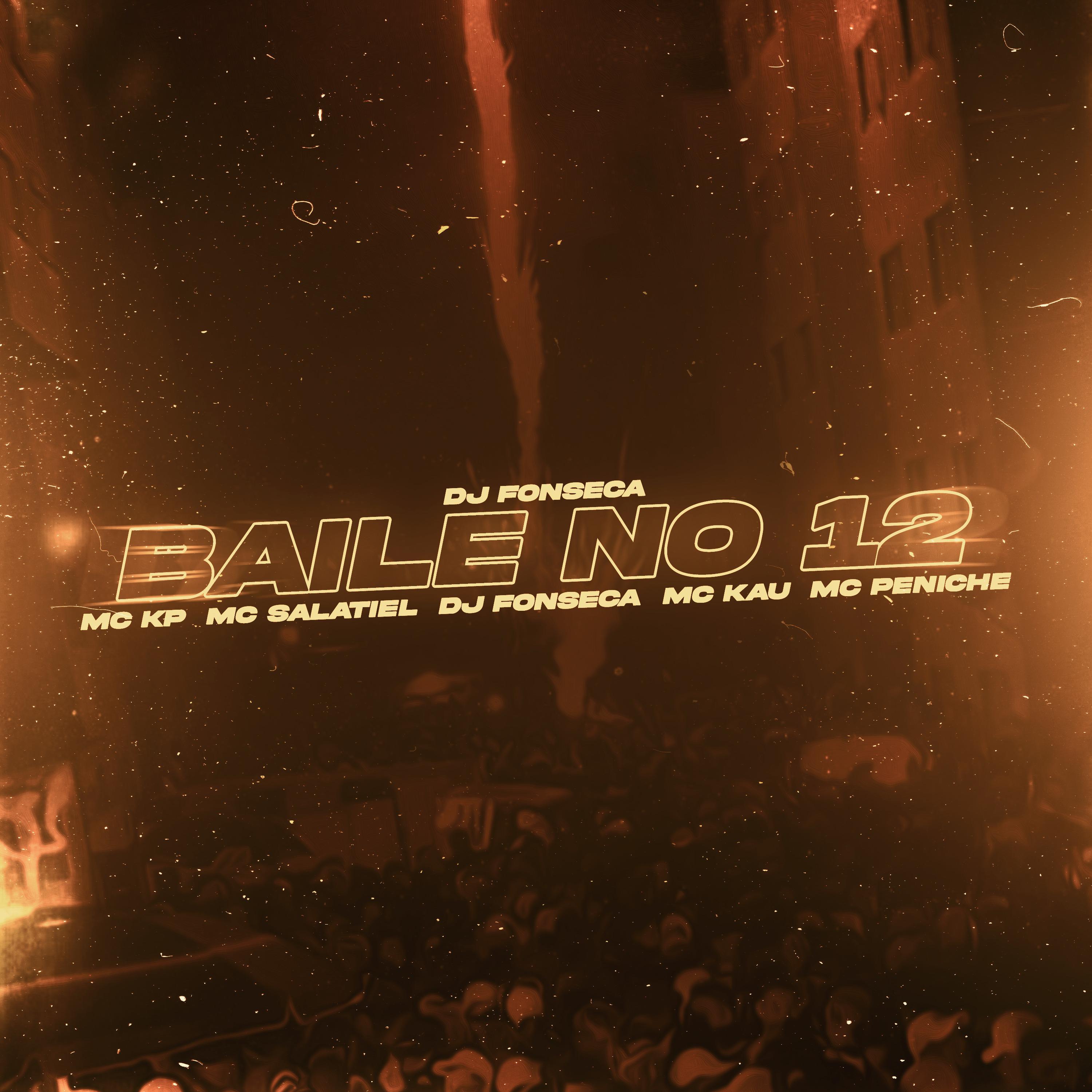 DJ Fonseca - Baile No 12