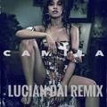 Never Be the Same（Lucian Dai Remix）