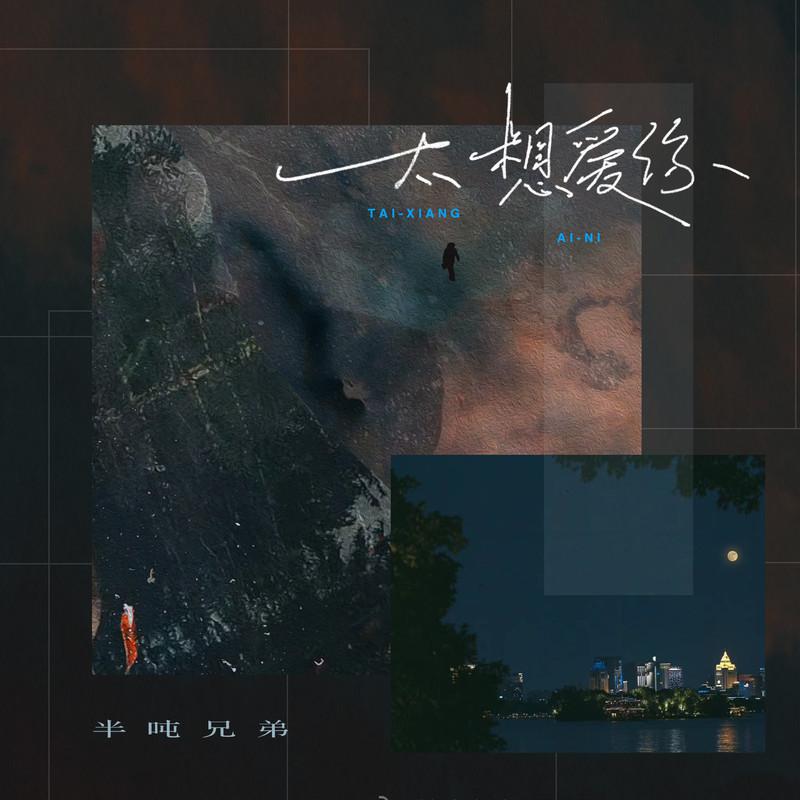 太想爱你