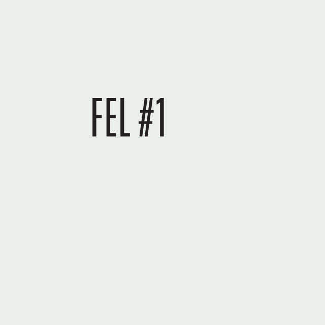 FEL #1