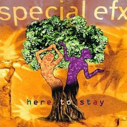 Here to Stay