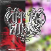 Cut My Wings/折翼