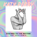 Chained to the Rhythm (Hot Chip Remix)专辑