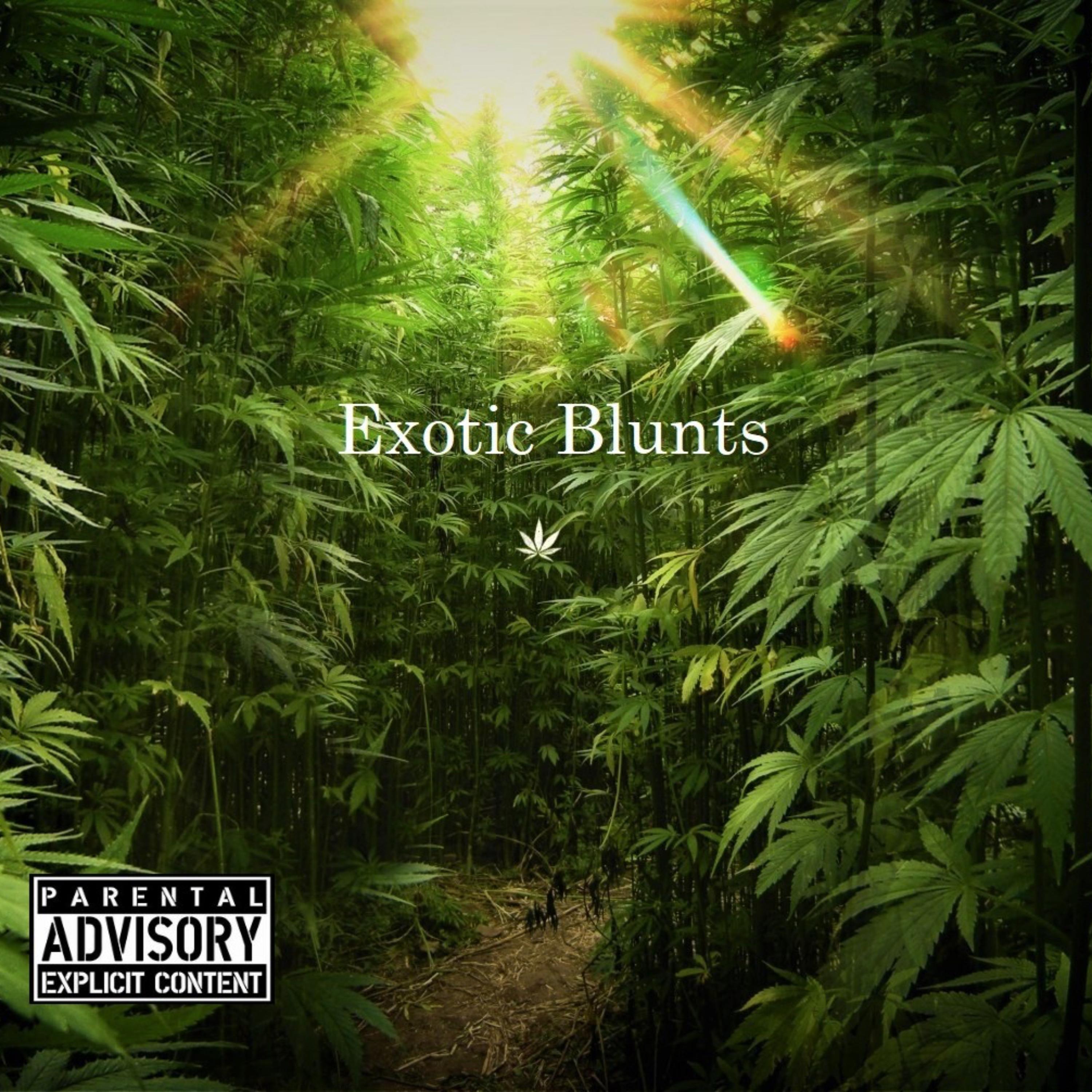 Exotic Blunts