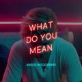 What Do You Mean(AW Remix)