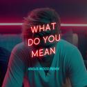 What Do You Mean(AW Remix)专辑