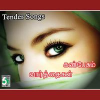 Kan - Pesum Tamil (instrumental)