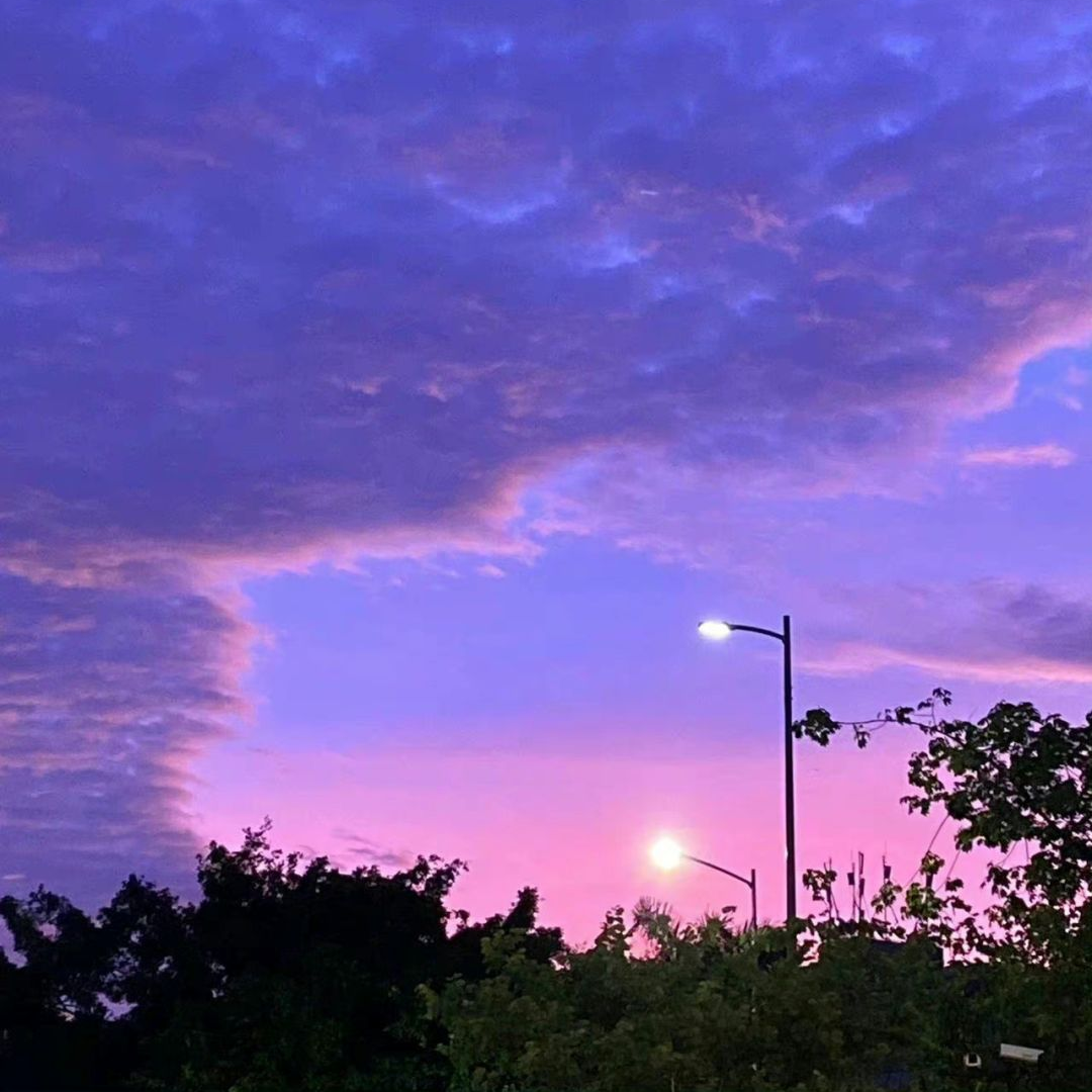 落夏(Prod.金桔0RANG3)