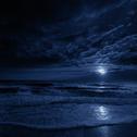 The Sea at Night专辑