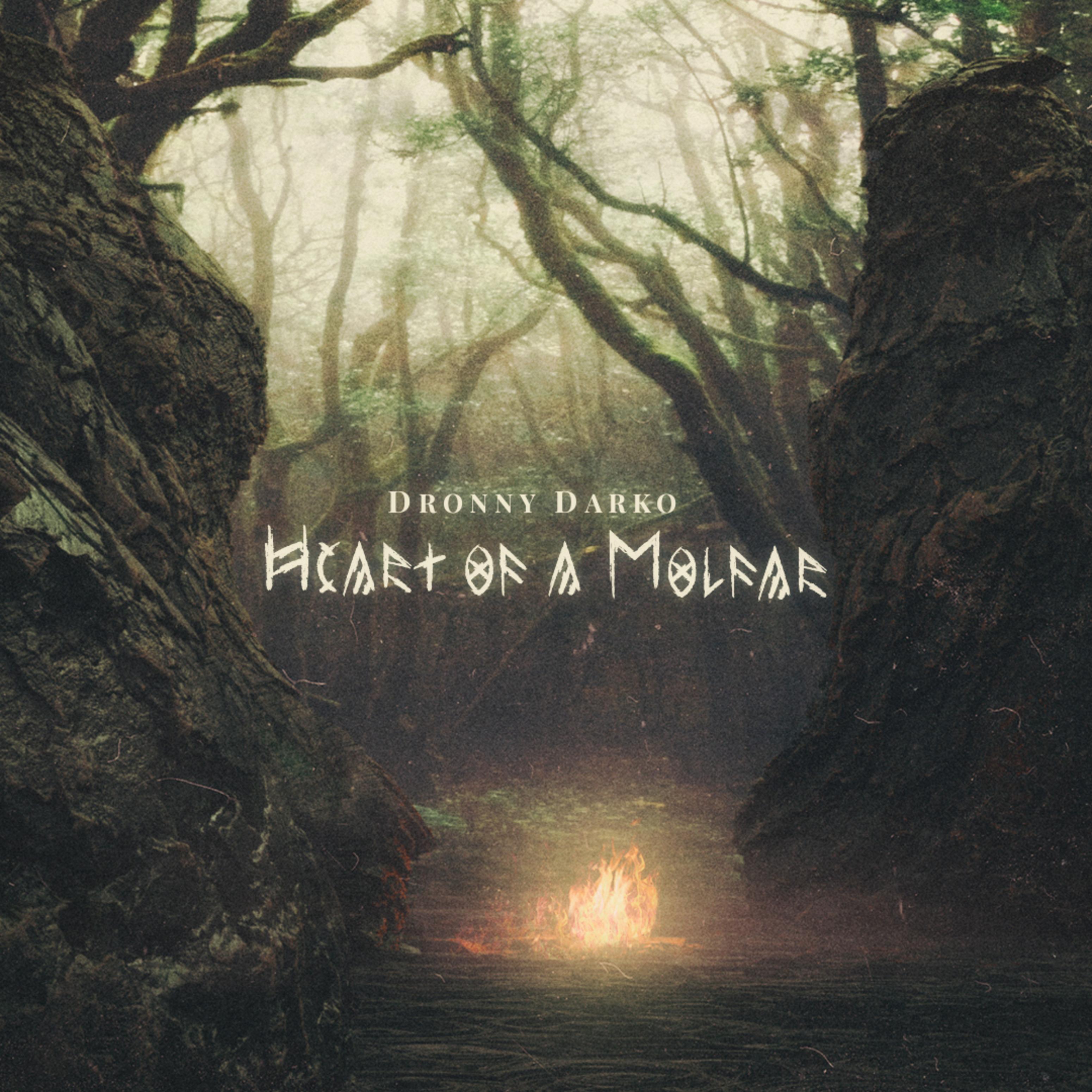 Heart of a Molfar